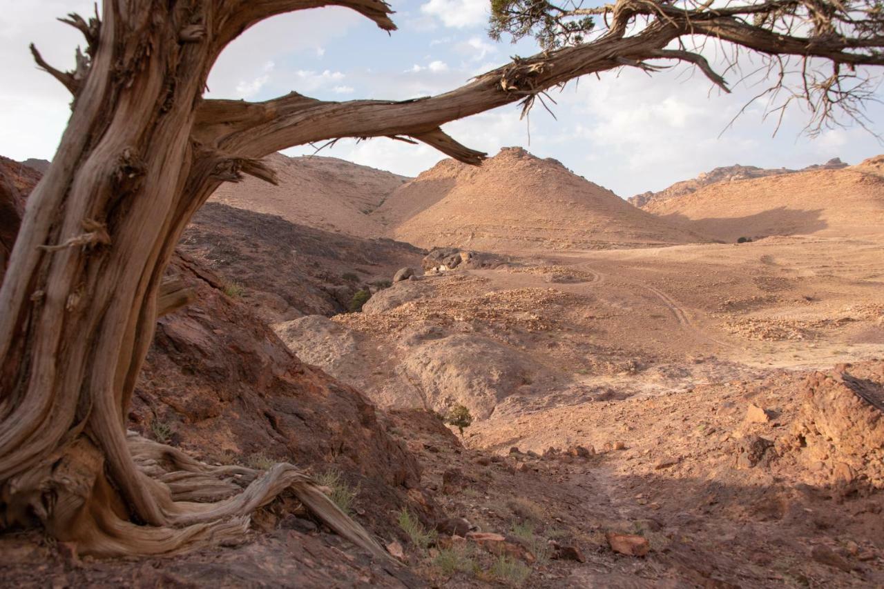 Bedouin Pink Ecohouse Bed & Breakfast Wadi Musa Exterior foto