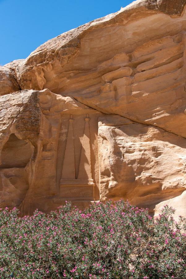 Bedouin Pink Ecohouse Bed & Breakfast Wadi Musa Exterior foto